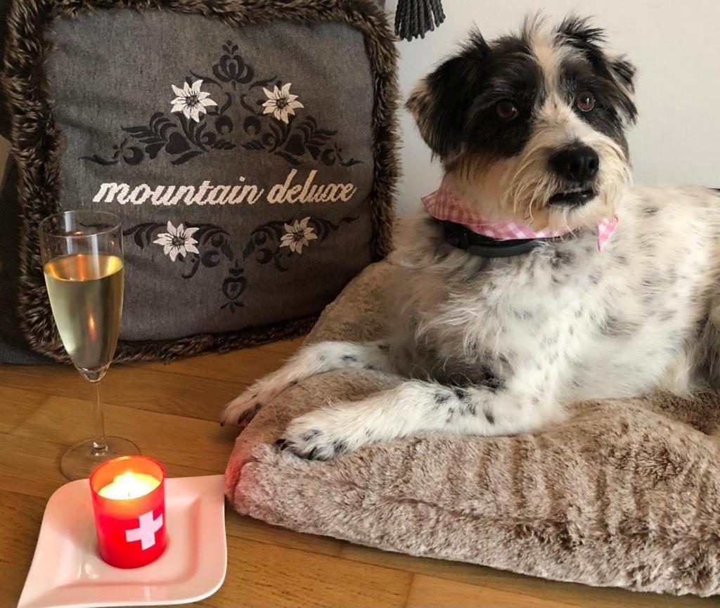 Mountain Deluxe Apartman Bartholomäberg Kültér fotó